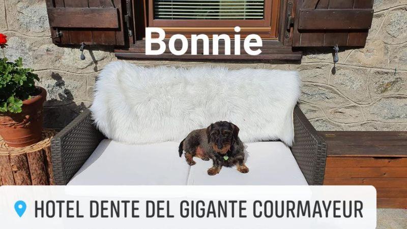 Hotel Dente Del Gigante กูร์มาเยอร์ ภายนอก รูปภาพ